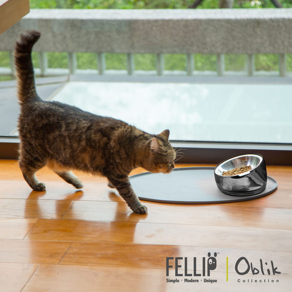 Whisker-friendly shallow dish on the Felli Oblik bowl reduces whisker contact.