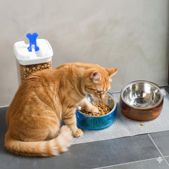 Felli Oblik bowl showing non-slip base for steadier feeding