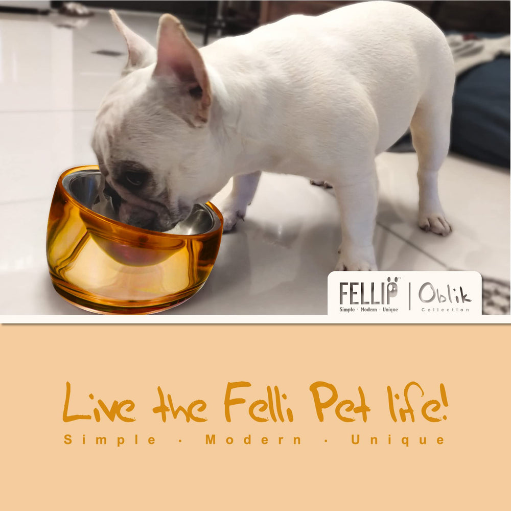 Felli Oblik shallow dish keeps food centered for whisker-friendly meals