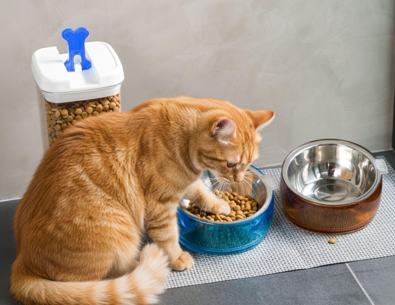 Felli Oblik elevated acrylic base supports a comfortable eating posture.