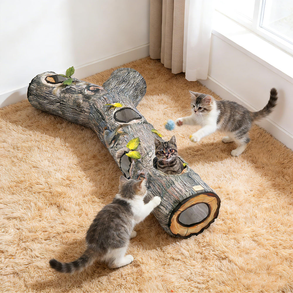 FelRelWel spacious multi-pet play space for households