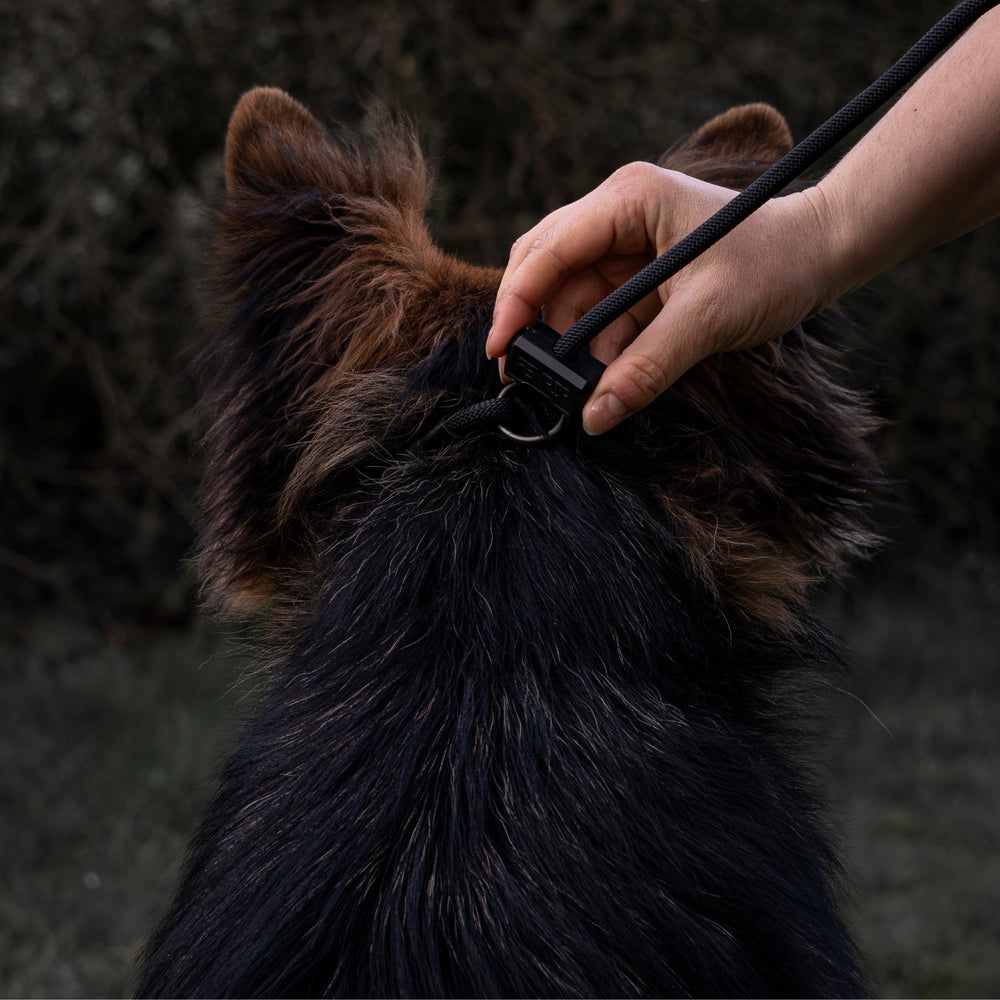 Fenrir adjustable slip leash with spring stopper for safe control.