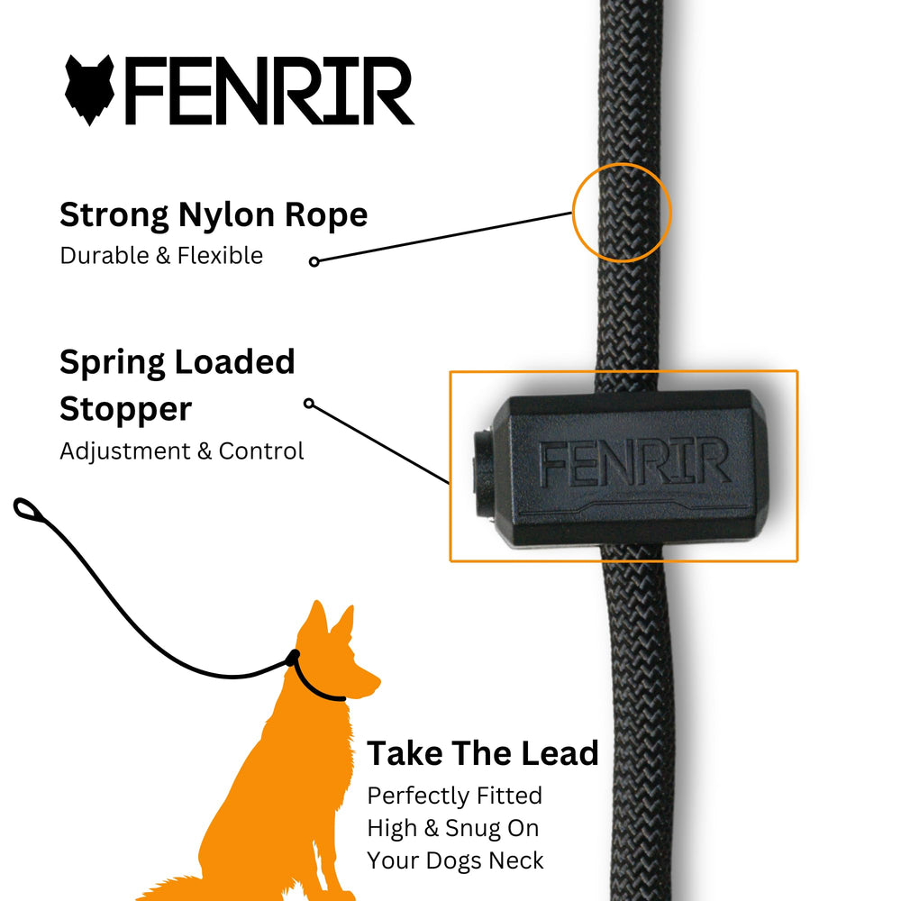Fenrir durable woven nylon rope leash supports strong dogs.