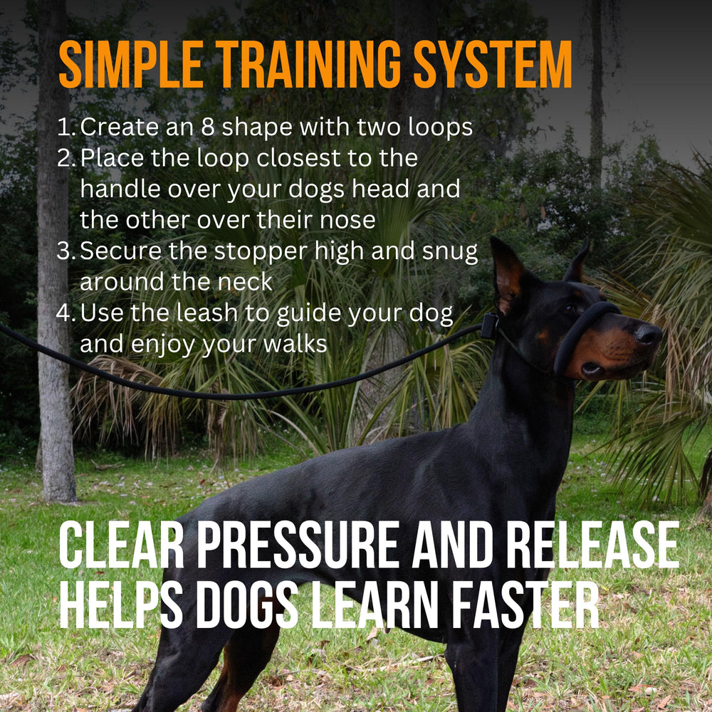 Fenrir figure-8 slip leash suits puppy to adult dogs.