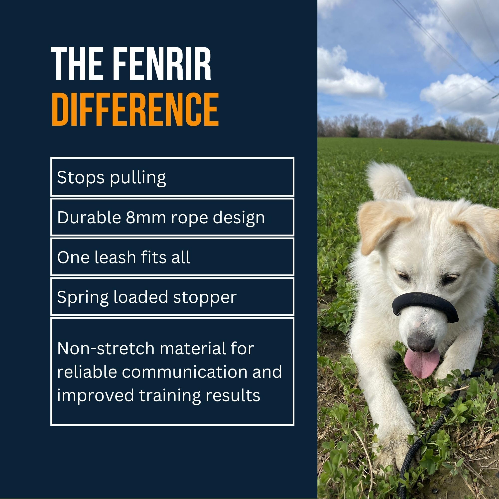 Fenrir non-stretch training leash enables clear, consistent feedback during walks.