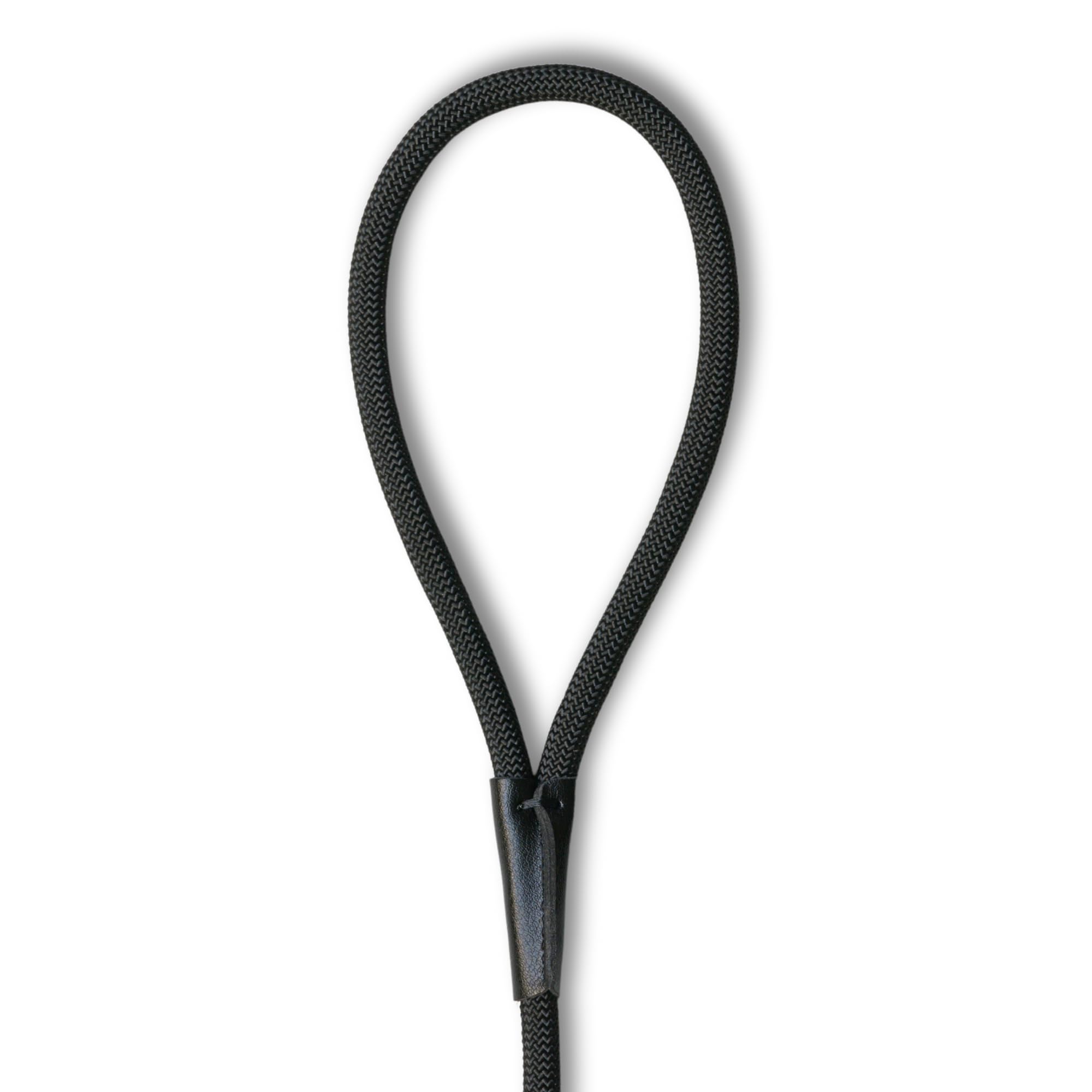 Fenrir outdoor training with slip leash for safe exploration.