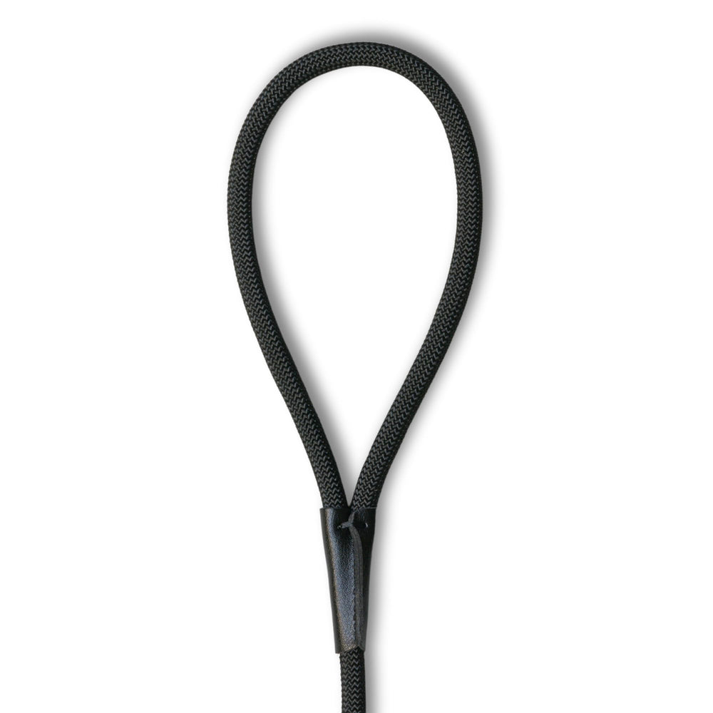 Fenrir outdoor training with slip leash for safe exploration.