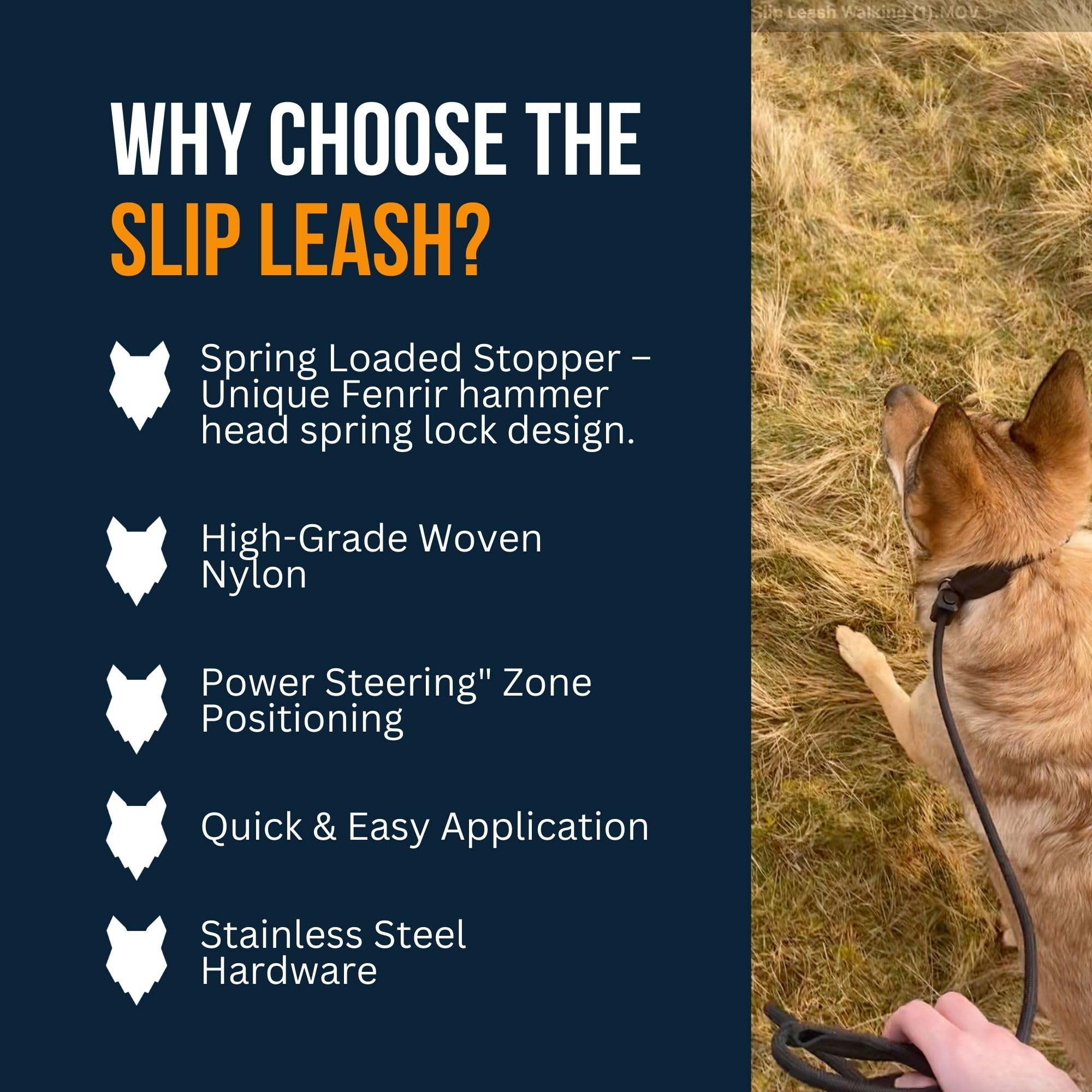 Fenrir Slip Leash adjustable fit enables comfortable, personalized training