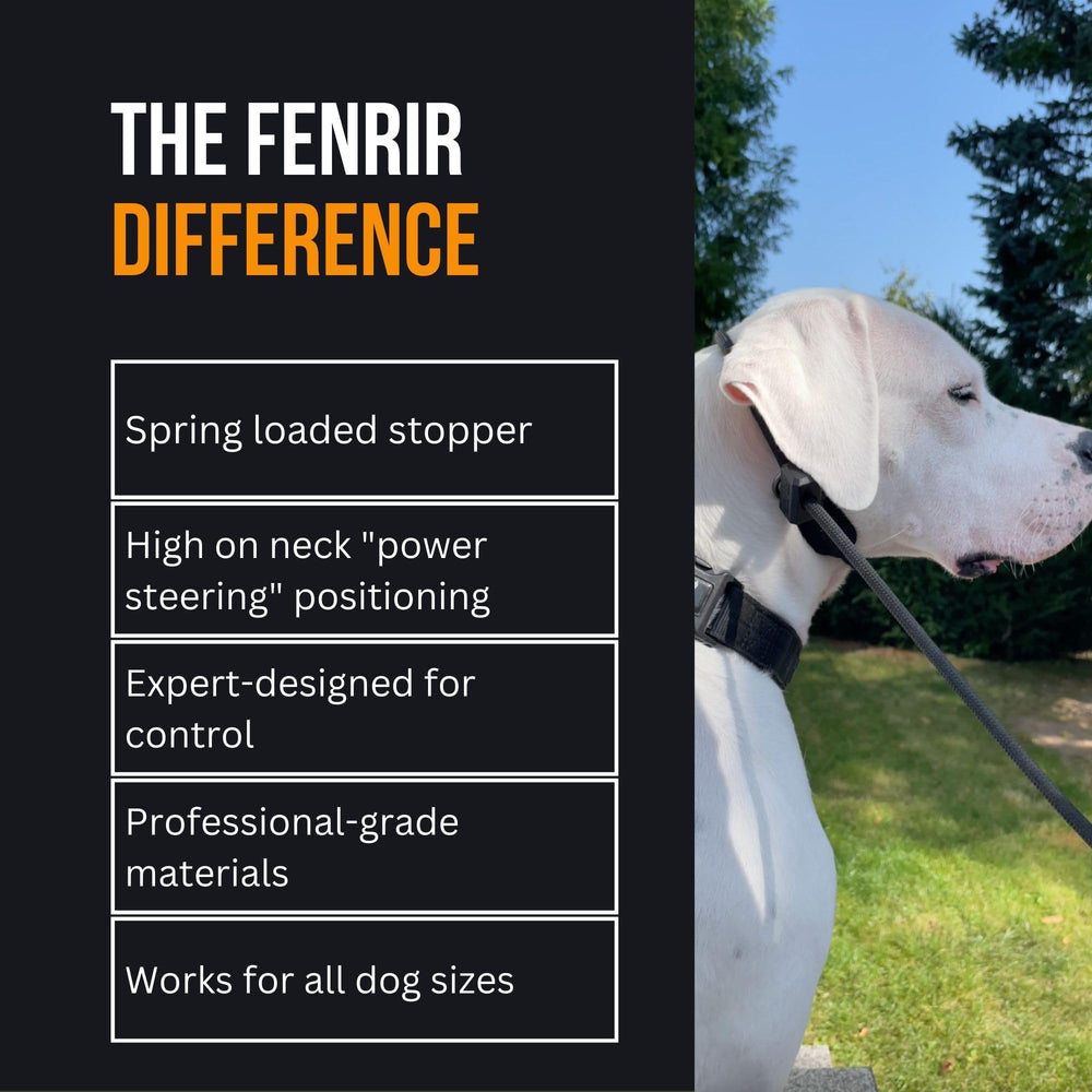 Hammer stop design prevents leash loosening during tough training sessions.