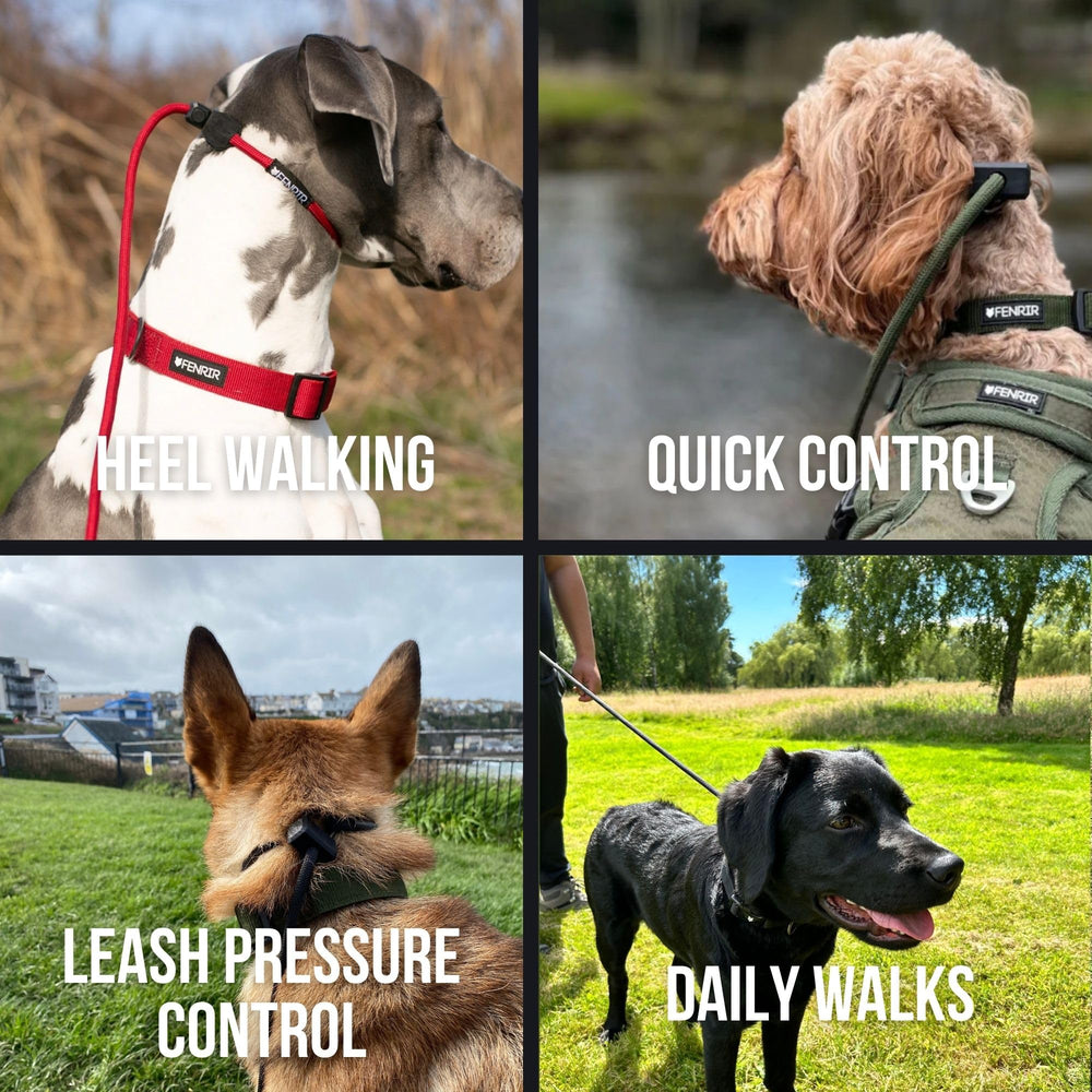 Close-up of woven nylon rope shows durability against strong pulls.