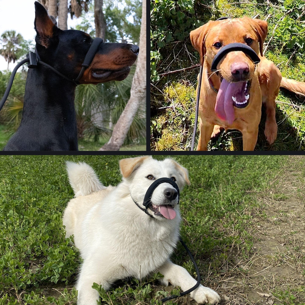 Fenrir spring-loaded stopper keeps the leash secure during every walk.