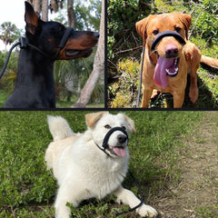 Fenrir spring-loaded stopper keeps the leash secure during every walk.