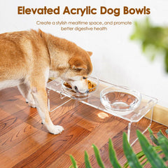 Feoyoho stainless steel bowls pair with the stand for durable, easy cleanup.
