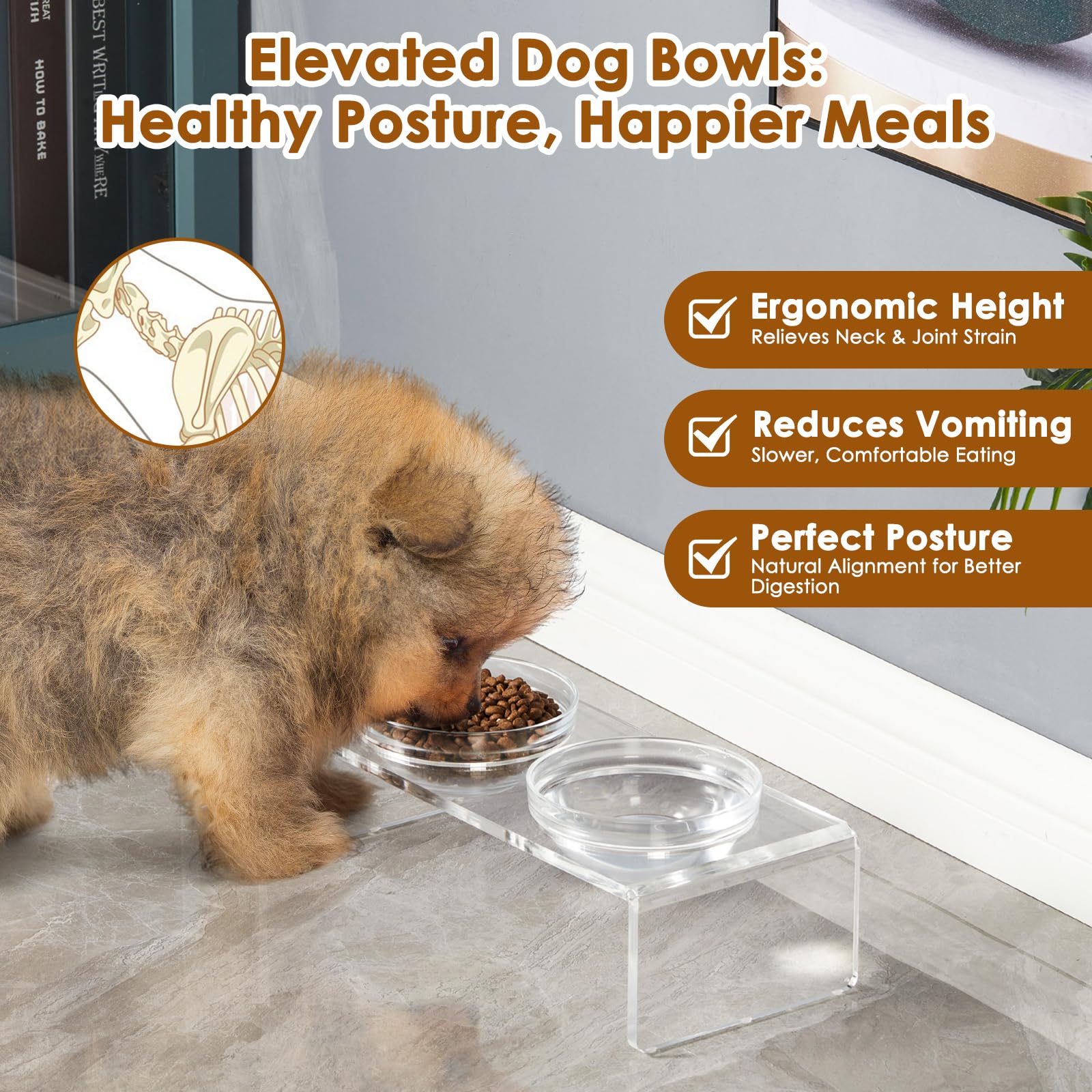 Feoyoho elevated feeder at 3.75 inches tall for cat and small dog meals