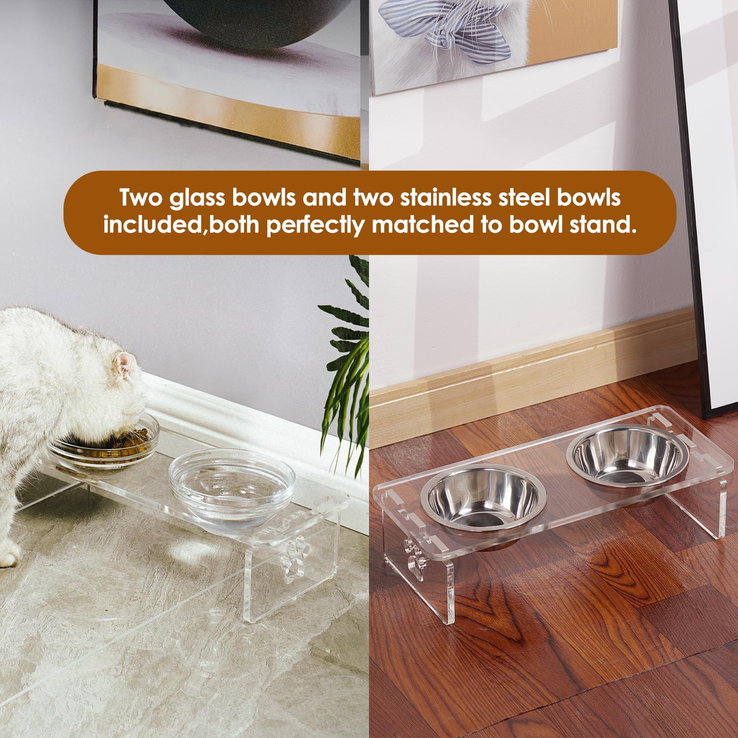 Feoyoho glass bowls removable for clear visibility during feeding