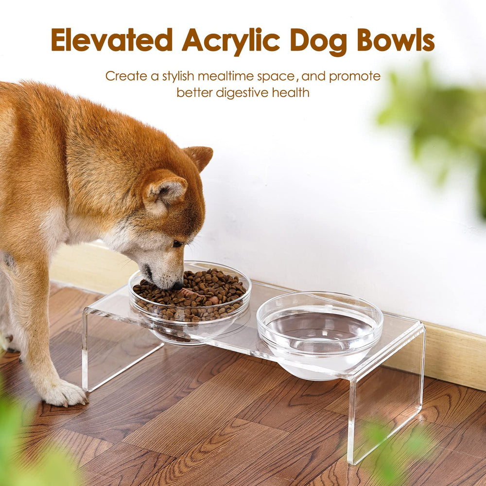 Feoyoho pet feeding scene featuring the elevated bowl setup.