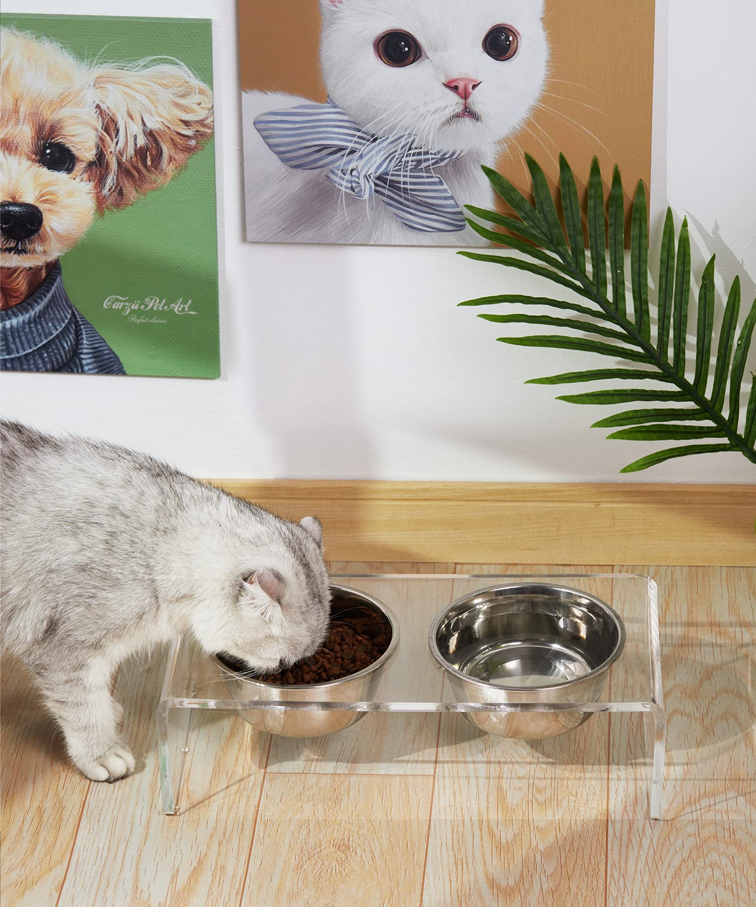 Feoyoho shallow 4 cm bowls ideal for water or kibble