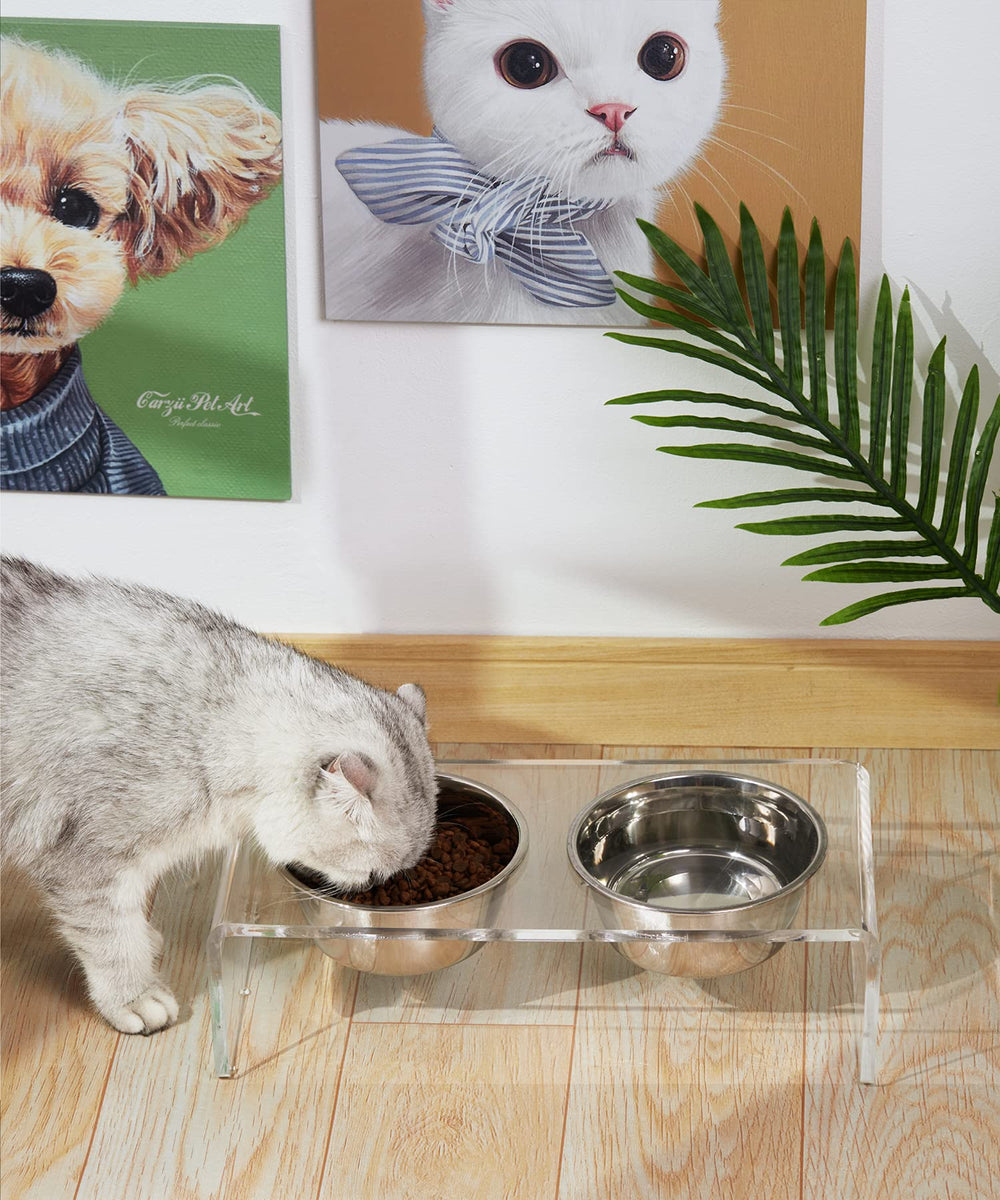 Feoyoho shallow 4 cm bowls ideal for water or kibble