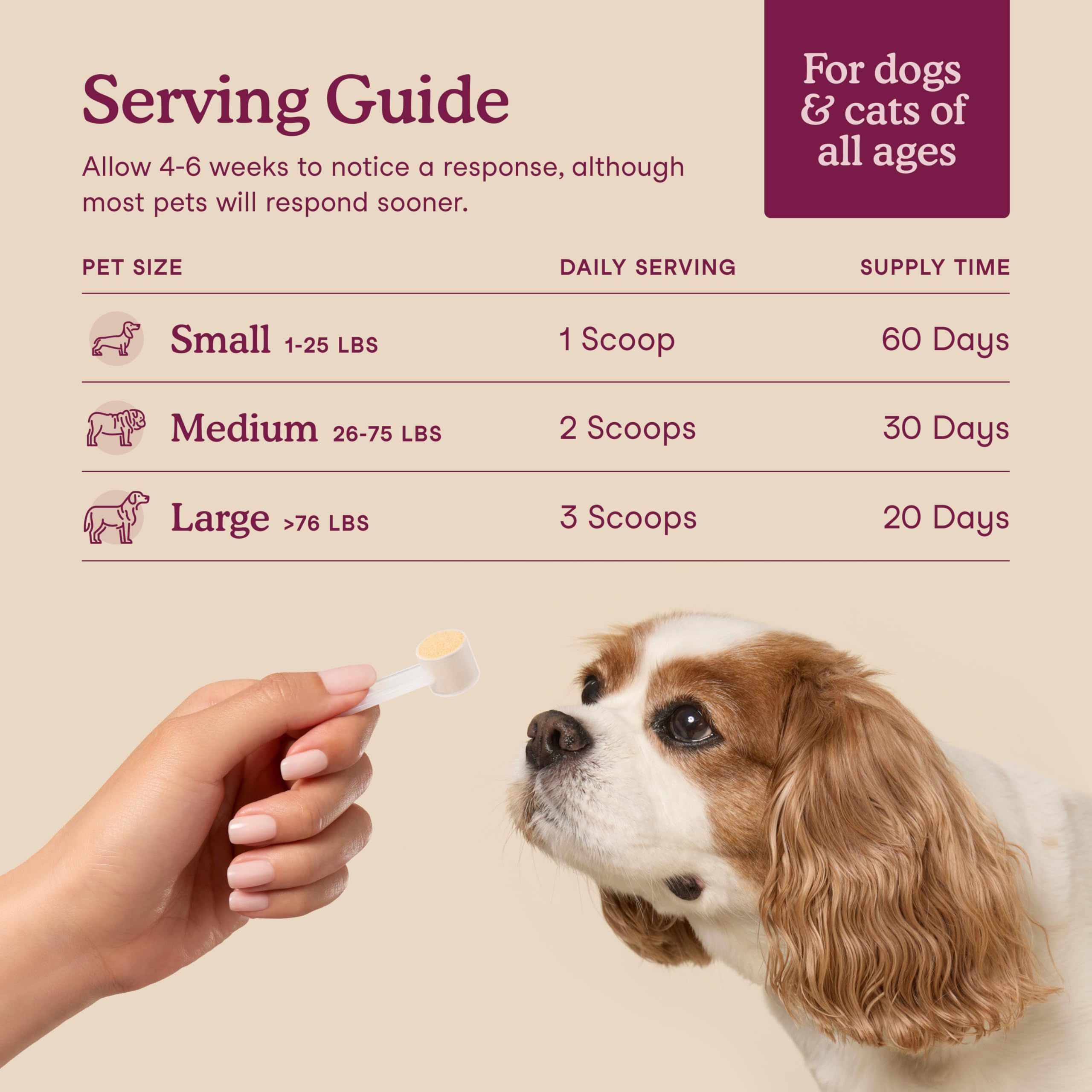 Fera Pets Bladder Support with astragalus and marshmallow root.