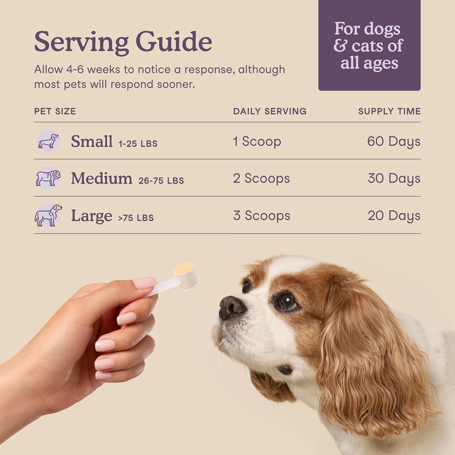 Dog-friendly use of Fera Pets Calming Supplement with dose scoop.