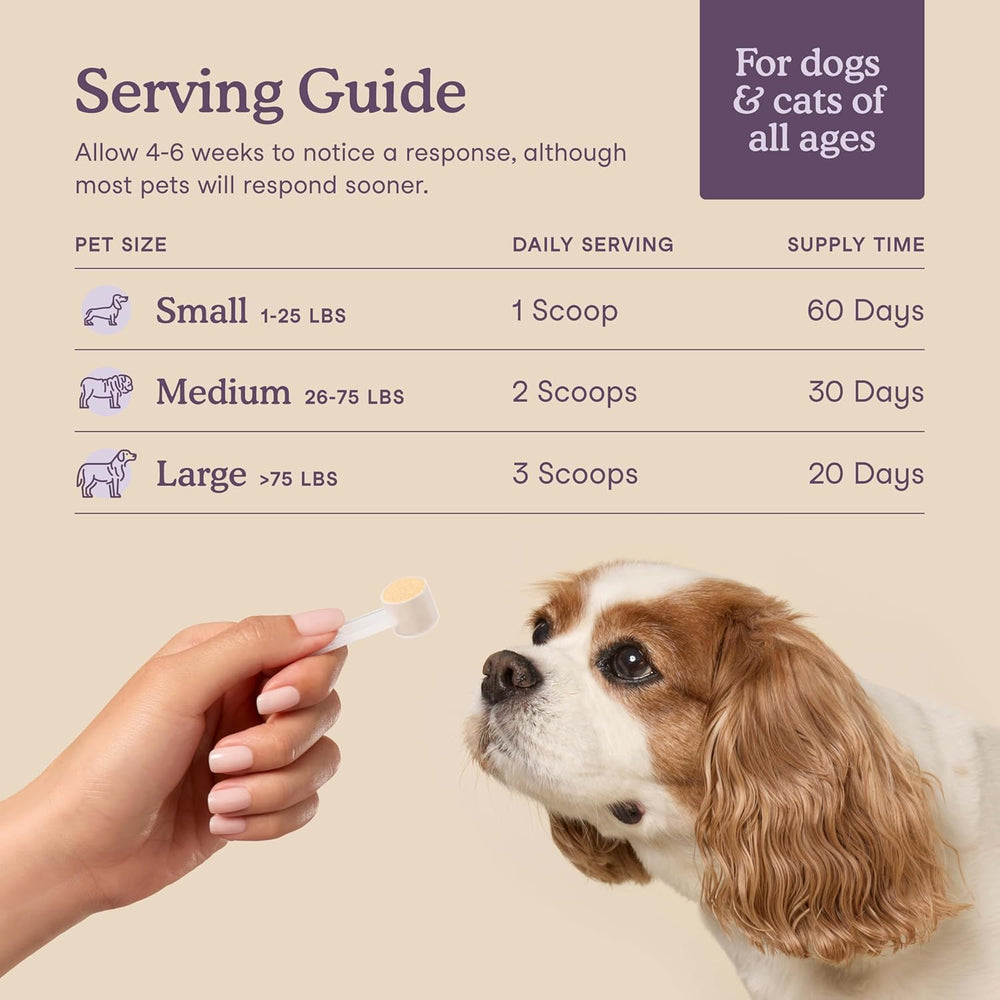 Dog-friendly use of Fera Pets Calming Supplement with dose scoop.
