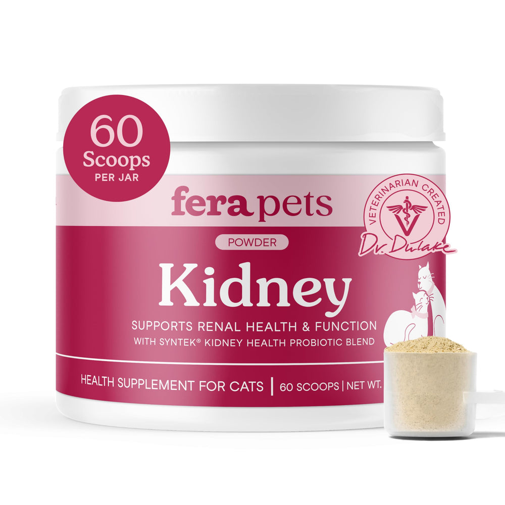 Fera Pets Cat Kidney Support Powder bottle being poured for daily kidney health maintenance.