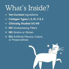 Fera Pets Collagen Powder for dogs serving demonstrates simple meal toppers