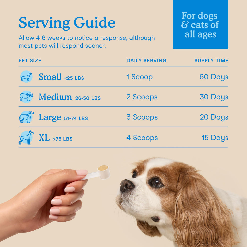 Enzymes and postbiotics emphasized in Fera Pets dental powder.