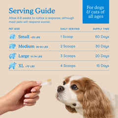 Enzymes and postbiotics emphasized in Fera Pets dental powder.