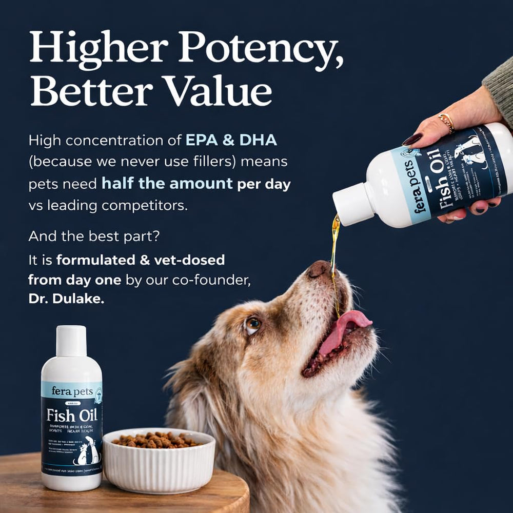 Fera Pets Fish Oil glass bottle on kitchen counter emphasizing premium omega-3 blend
