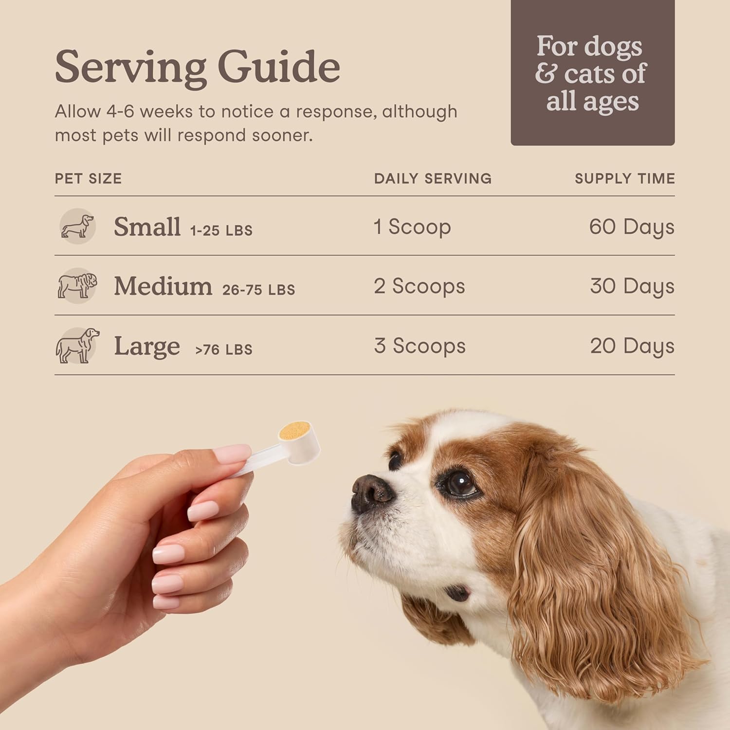 Milk thistle visuals in Fera Pets formula for liver support