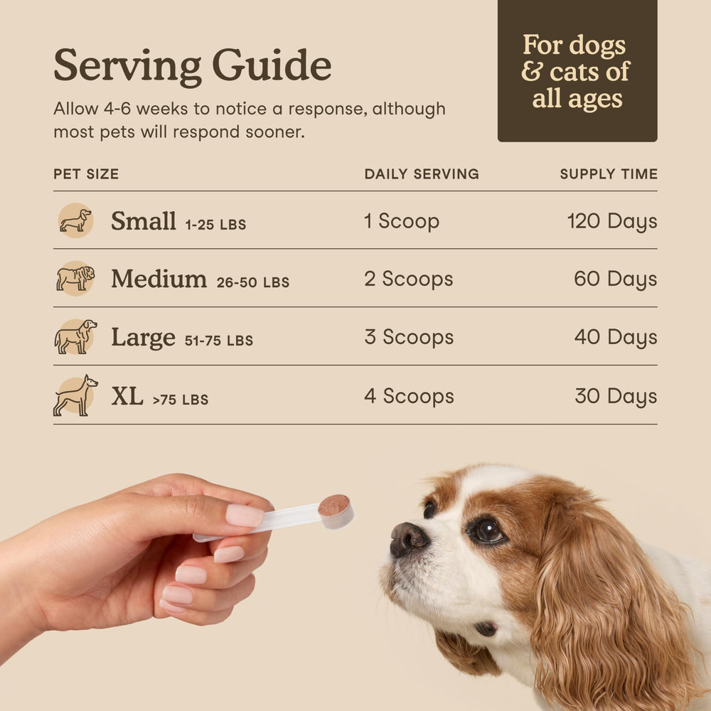 Fera Pets powder poured on food for easy administration.