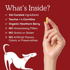 Ingredients like taurine, L-carnitine and CoQ10 shown in Fera Pets formula
