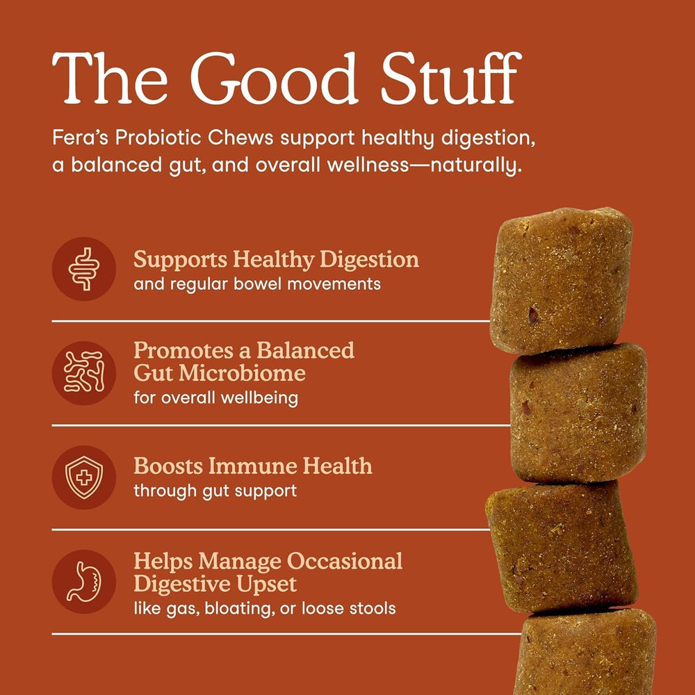 Close-up of Fera Pets probiotic chew highlighting chicory inulin prebiotic benefits