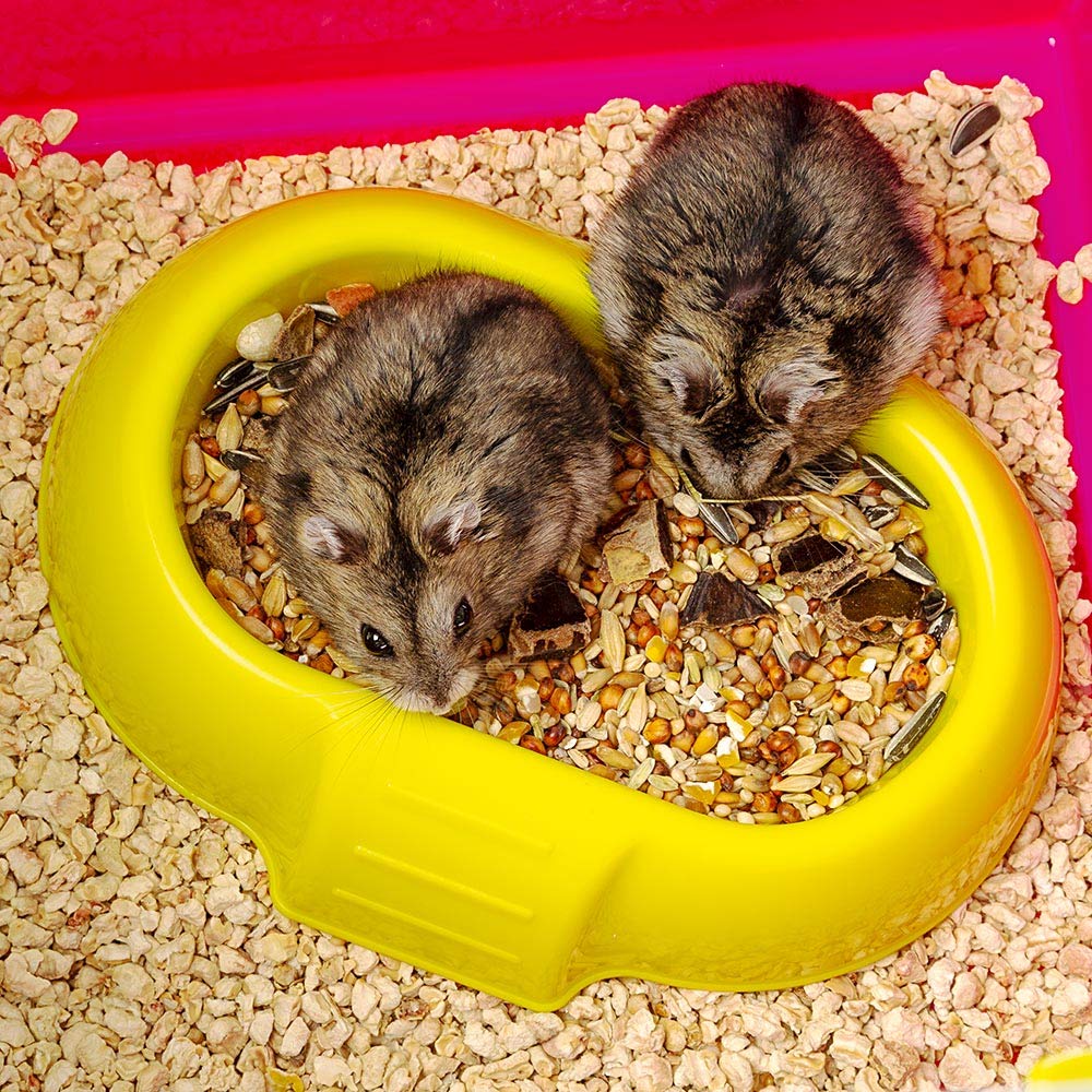 Ferplast Laura hamster cage easy-clean base and mesh for simple cleanup.