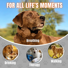 FestiVex dog basket muzzle breathable mesh panel demonstrates airflow during walk
