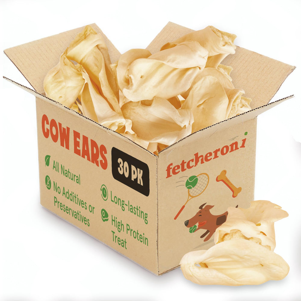 Fetcheroni Cows Ears large-dog-chew — natural, long-lasting chew for strong chewers.