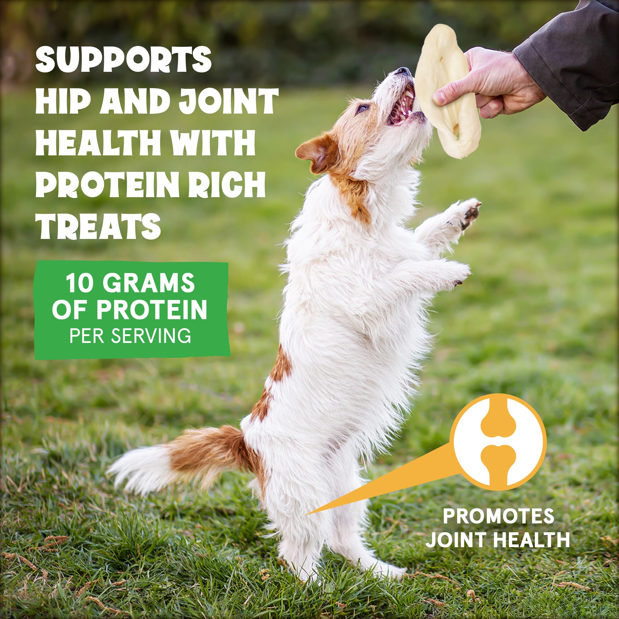 Fetcheroni Cows Ears natural-grass-fed — premium quality and wholesome chewing experience.