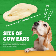Fetcheroni Cows Ears pack-30-count — great value for daily rewards.