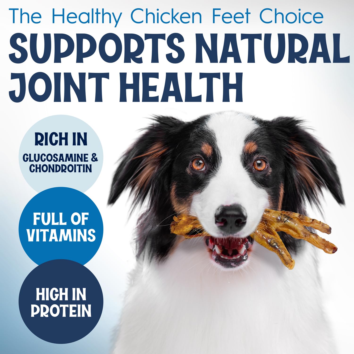 Fetcheroni freeze-dried chicken feet dog treats texture reveals airy crunch and flavor