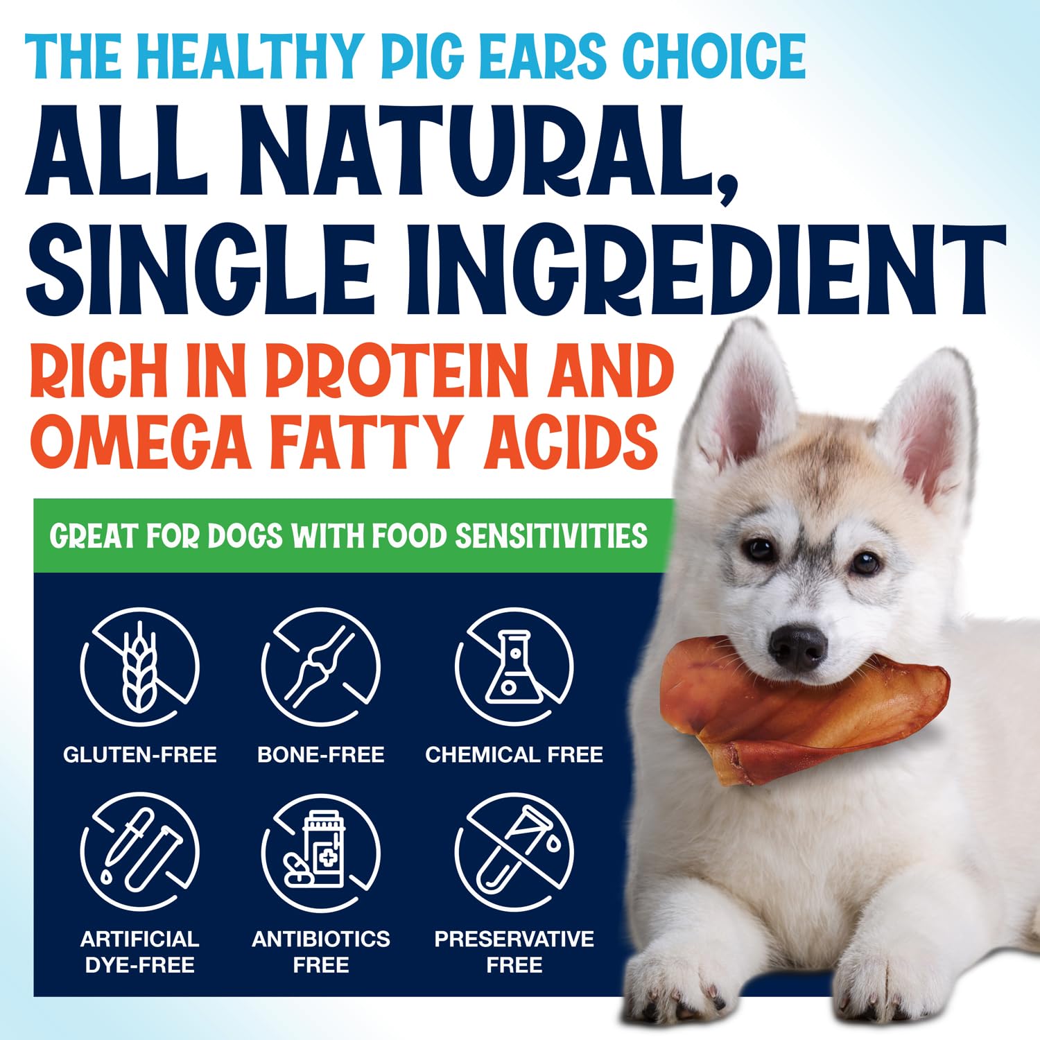 Natural, single-ingredient Fetcheroni pig ears support dental care.