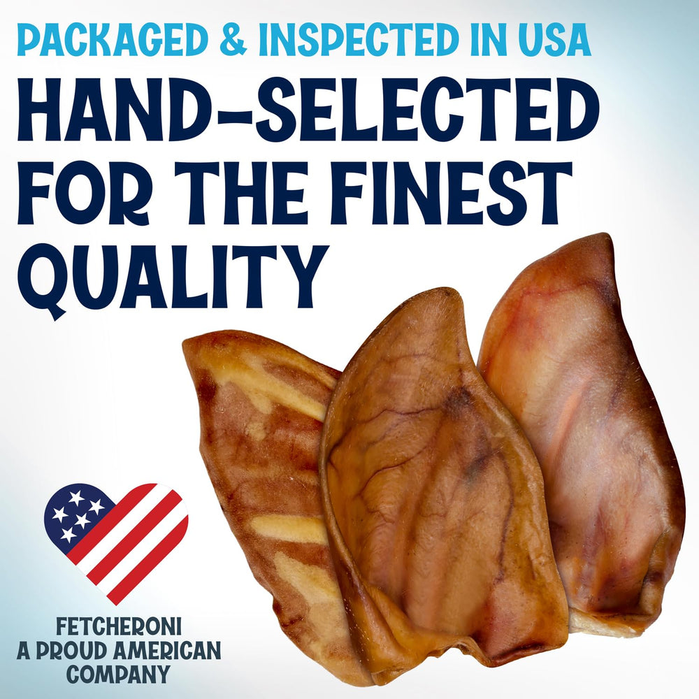 Fetcheroni pig ears dog chew action for large, strong chewers