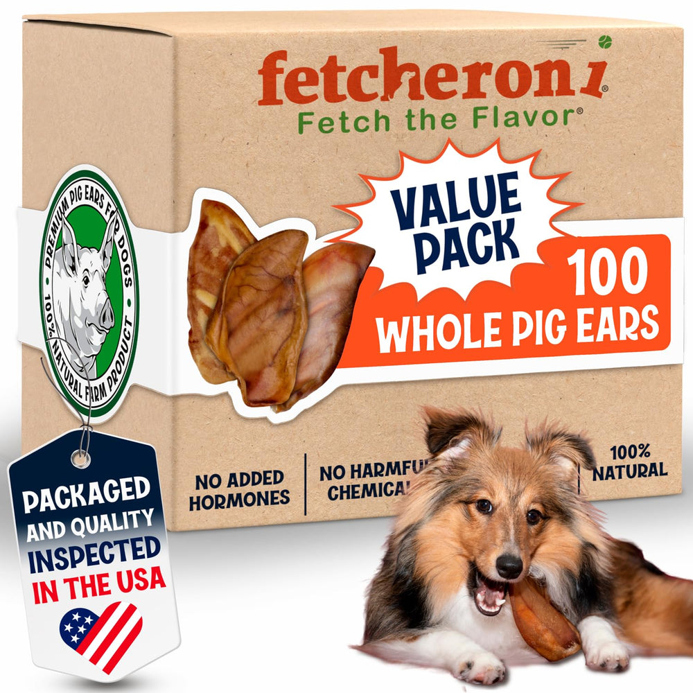 Fetcheroni pig ears large pack hero image for big dogs with long-lasting chew