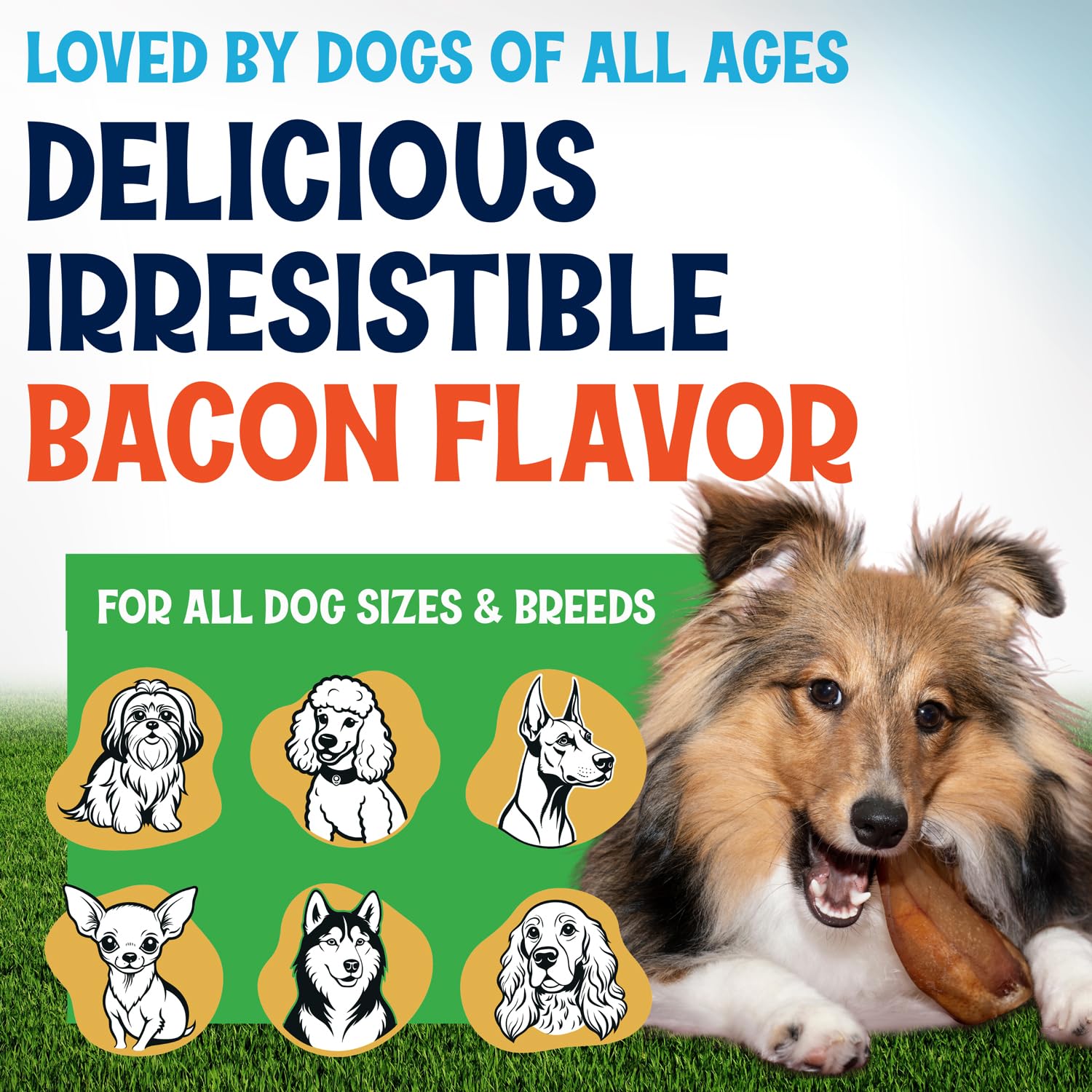 Fetcheroni pig ears textured surface suggests dental hygiene during chewing