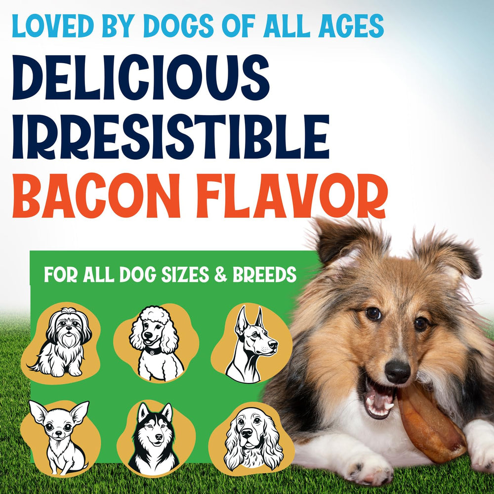 Fetcheroni pig ears textured surface suggests dental hygiene during chewing