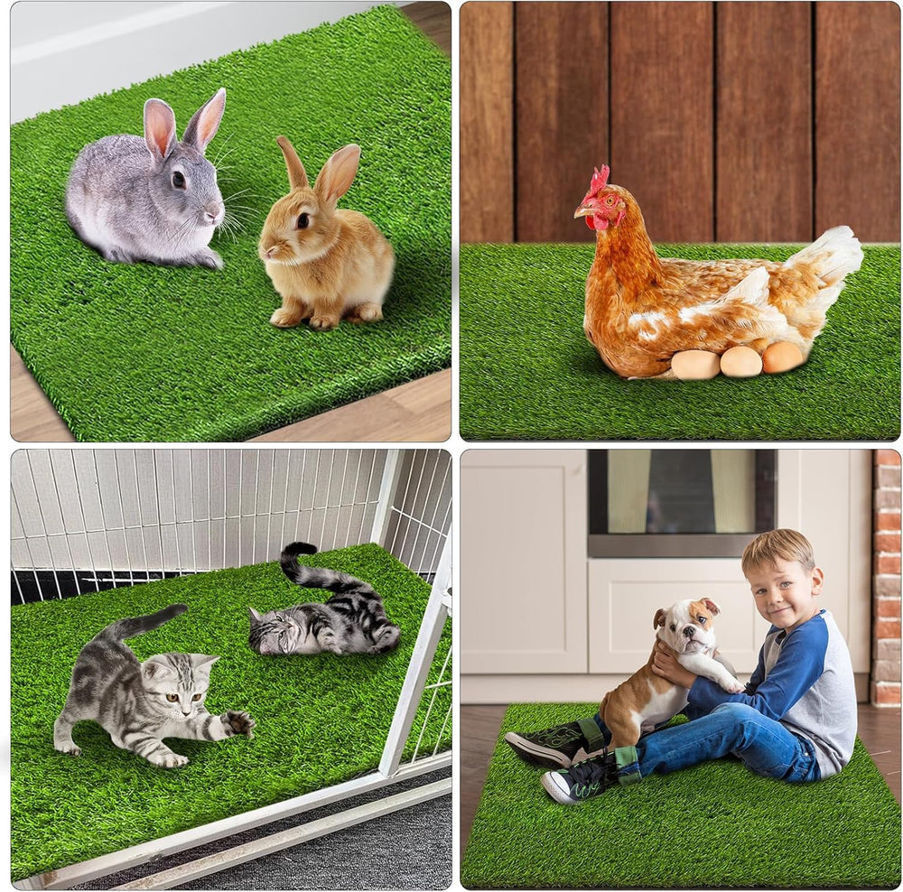 Fezep two pads option suitable for larger dogs when joined