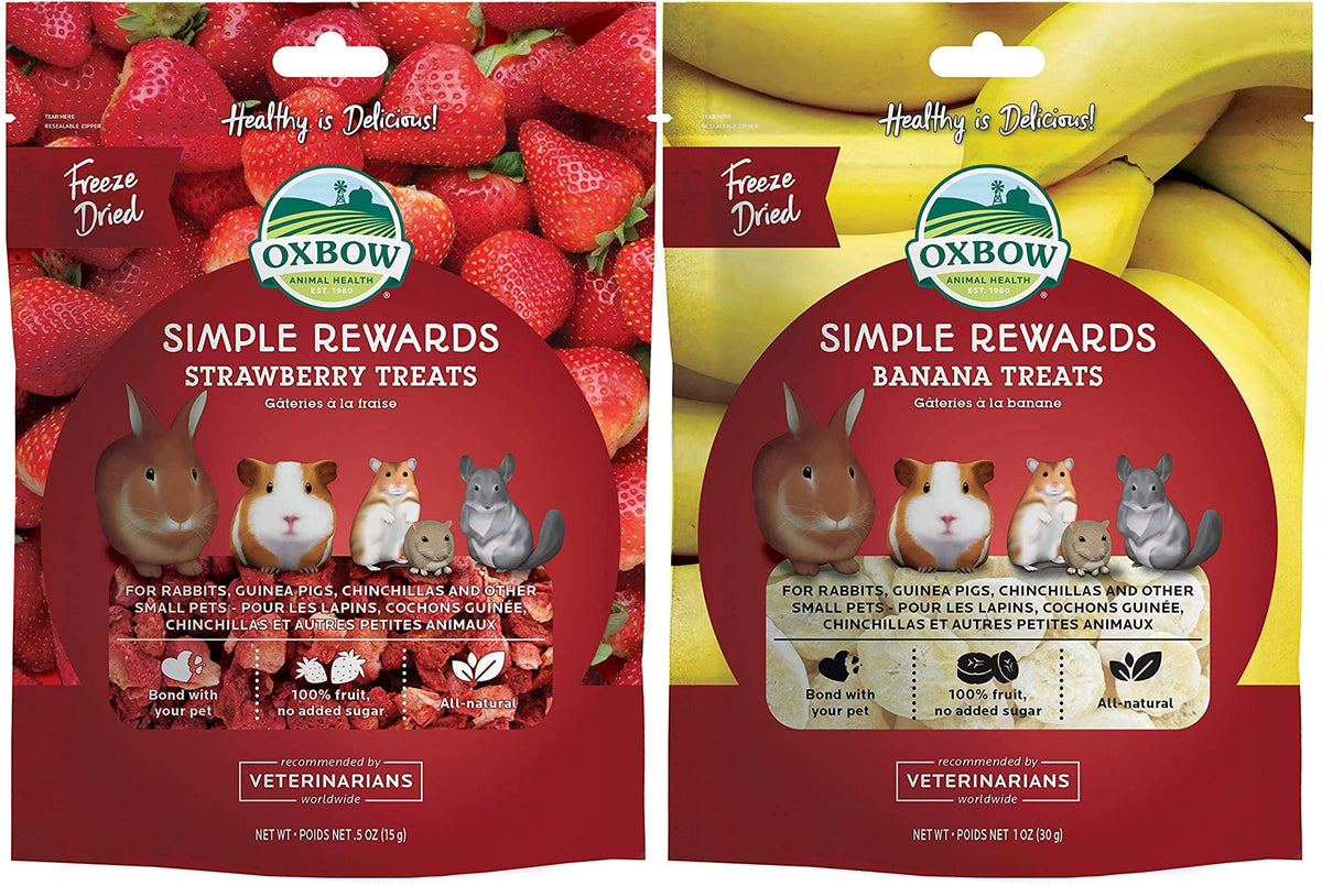 FFKQBH Oxbow Simple Rewards strawberry pack: tasty, fruit-flavored treats for daily enrichment.