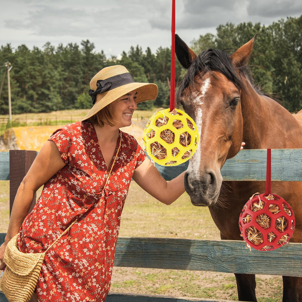 Use in paddock or stall: FFOTD feeder ball for enrichment.
