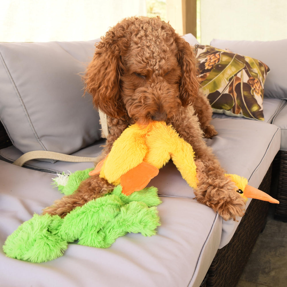 FGA MARKETPLACE Machine washable design for easy cleanup after play.
