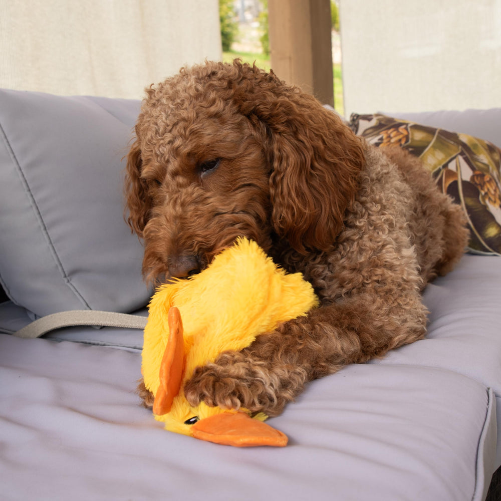 FGA MARKETPLACE Duck Flat No-Squeak Toy 21-inch length ideal for medium dogs